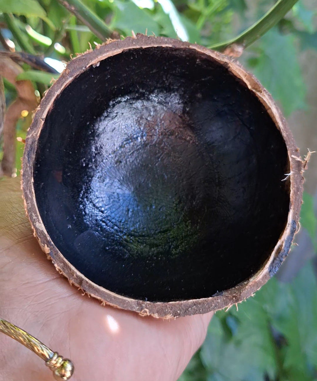 Vengaipal Pottu for Babies (Traditional Natural Bindi for Babies)